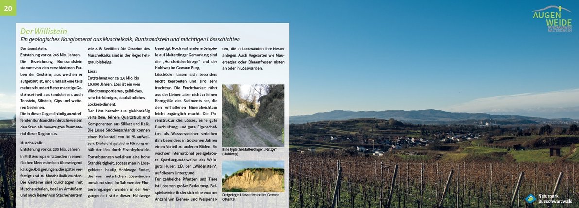 Willistein (Punkt 20)